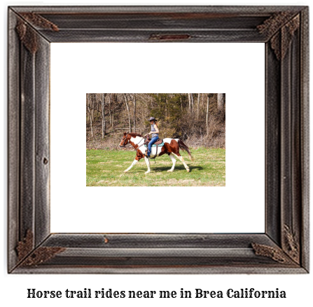 horse trail rides near me in Brea, California